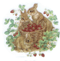 RABBITS BUNNIES AND STRAWBERRIES