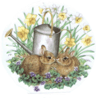 RABBITS BUNNIES AND DAFFODILS