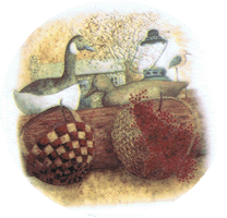 duck ducks bird pottery