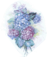 hydrangea, flowers, pottery