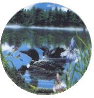 loon, loons, ducks, birds, northwoods, lodge, pottery