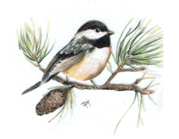 chickadee bird pottery