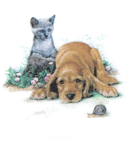 dog and golden retriever and cat