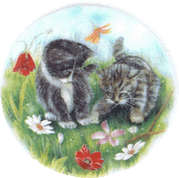kittens anf daisies
