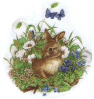 RABBIT BUNNY AND BUTTERFLIES