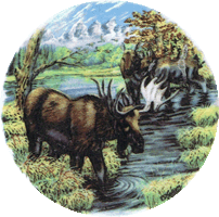 MOOSE AND STREAM, northwoods, forest, lodge, hunting, pottery, animals
