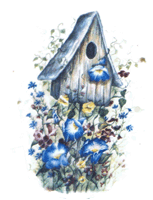 morning glory, flowers, birdhouse, pottery