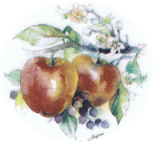 light apples, apple, fruit, pottery