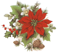 poinsettia, pointsettia, flower, flowers, christmas, pottery