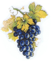 FALL, GRAPES, AUTUMN, POTTERY