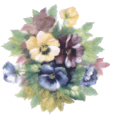 pansy, pansies, floral, flowers, flower, pottery