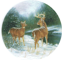 BUCK, DOE, DEER, northwoods, lodge, winter, pottery